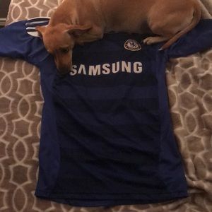 Football shirt(Jersey)